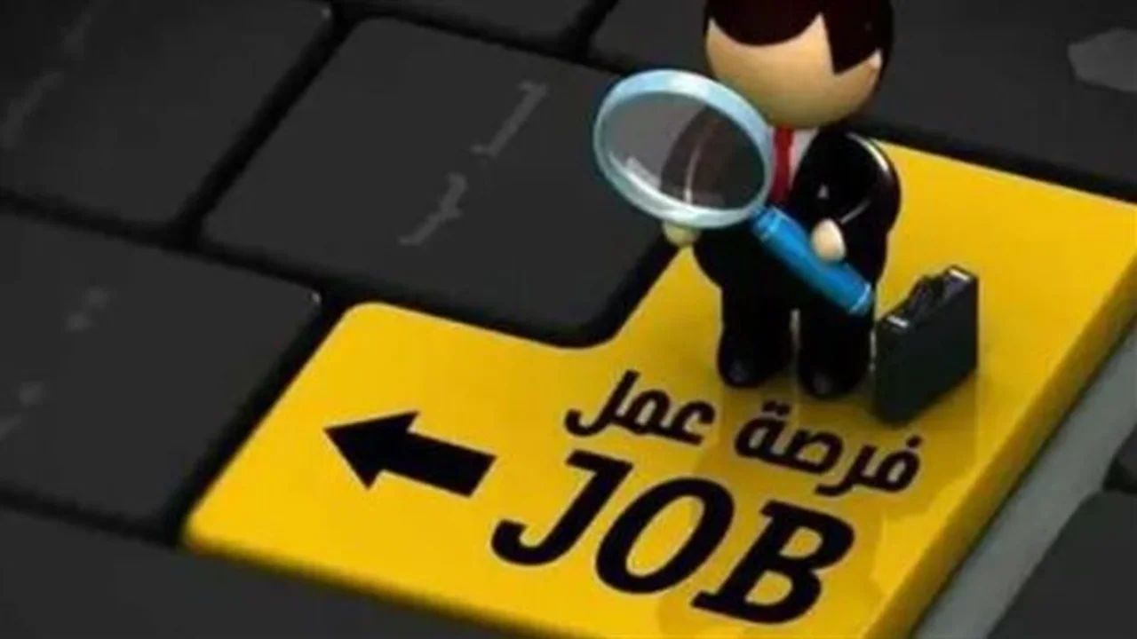 فرص عمل مثيرة.. سائق نقل ثقيل مطلوب في ميناء دمياط!